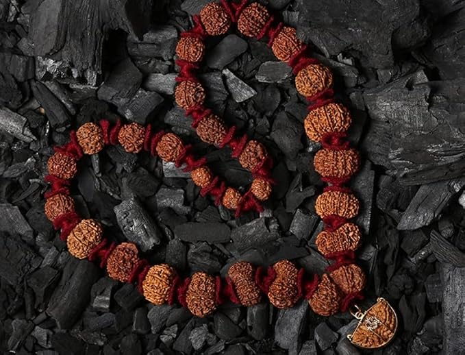 Siddha 1–14 Mukhi Rudraksha Mala | Sarva Siddha Shakti Mala with Lab Certification